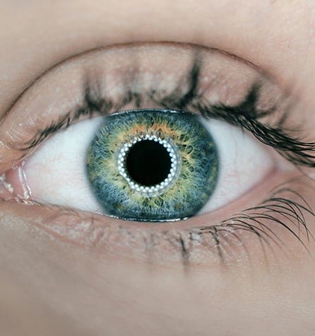 Importance of Eye Exams